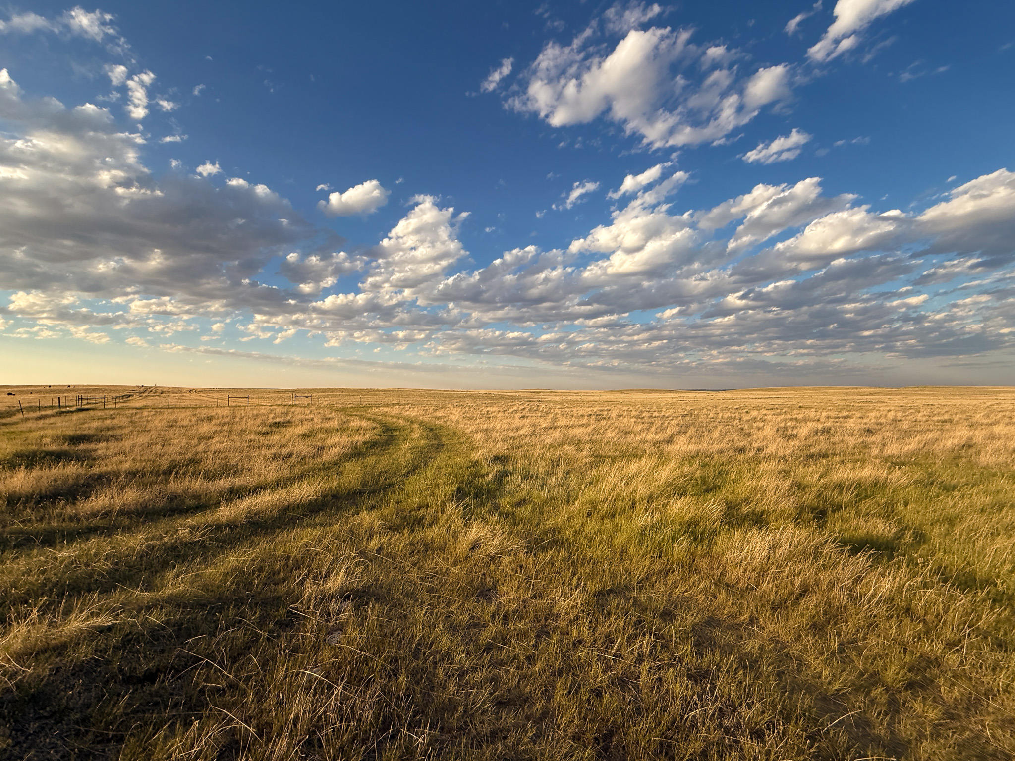 Norman Mavencamp Ranch