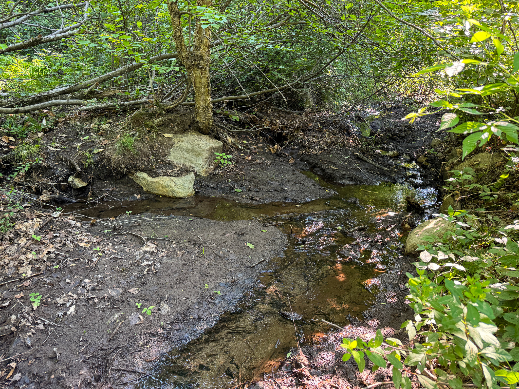 80± Acres of Off-Grid Mountain Land in Mount Chase, Maine