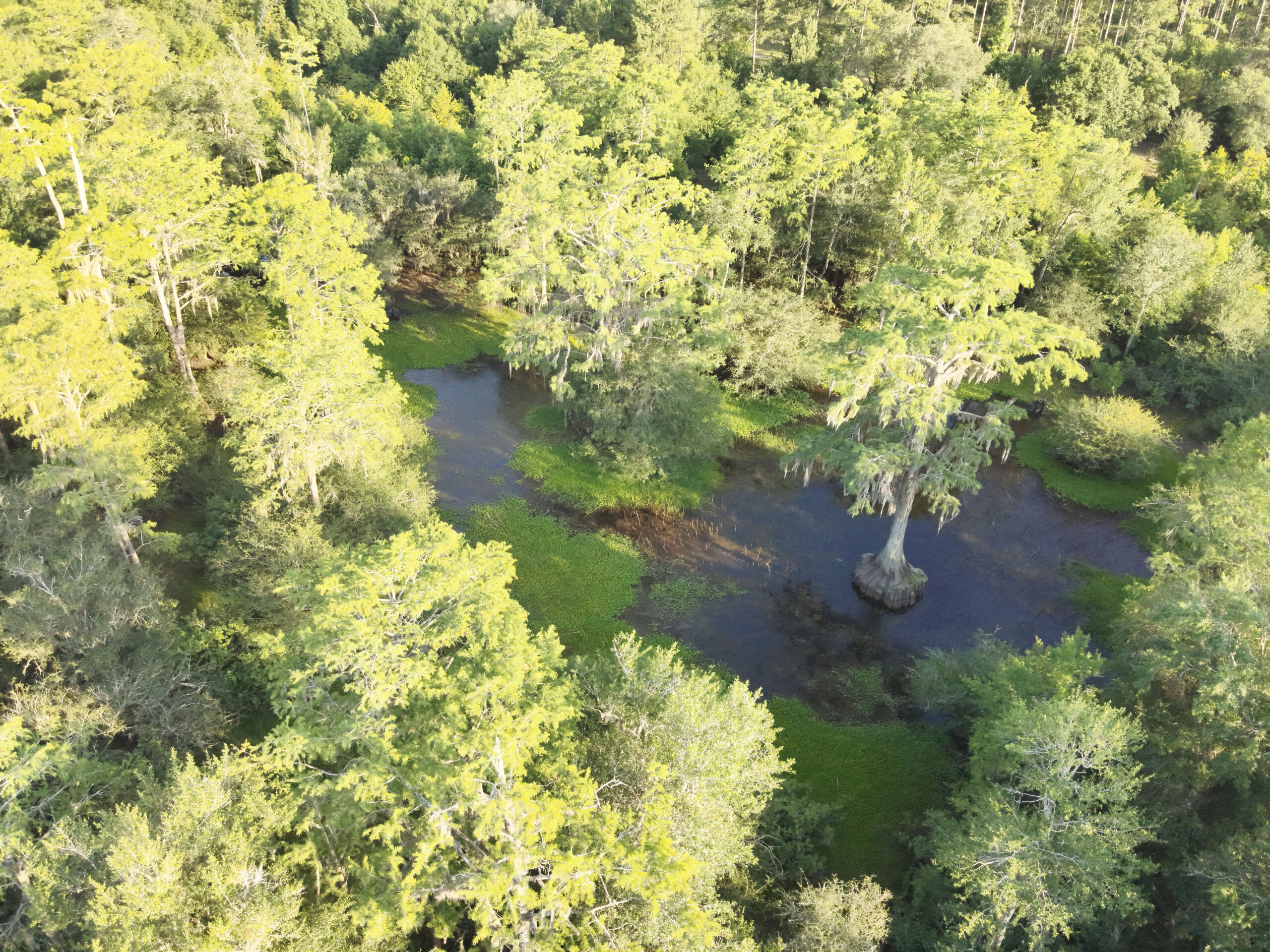 Recreational and hunting paradise located just outside Vada, GA in Decatur County