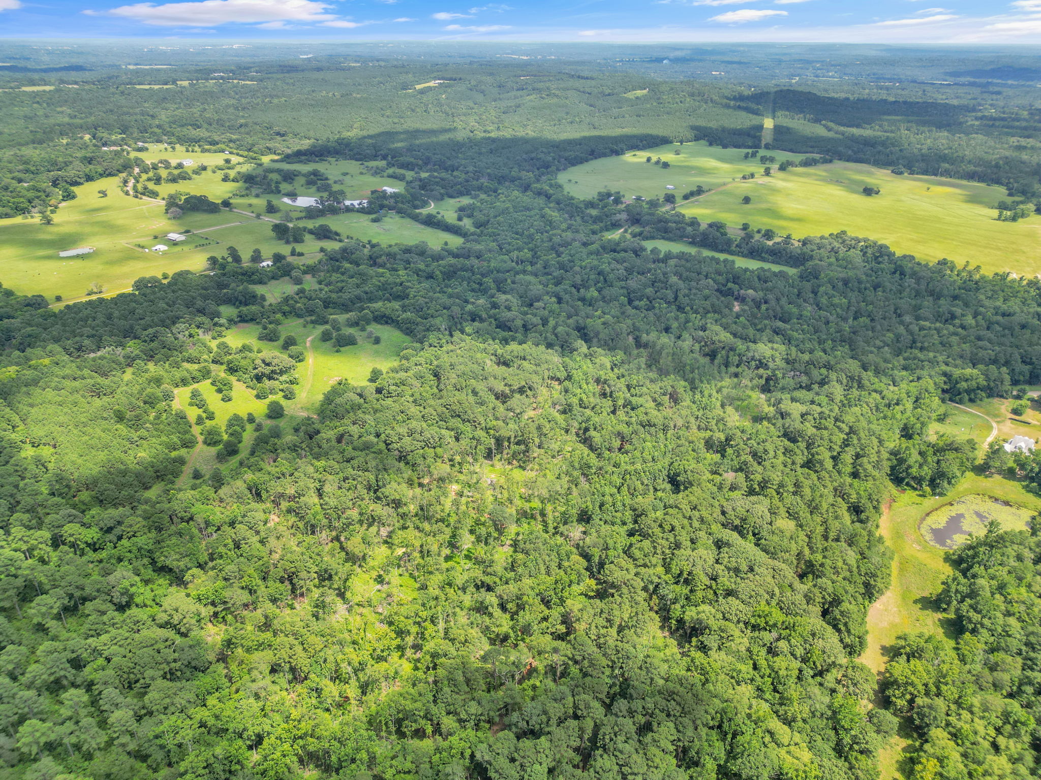 Texas Recreational Hunting Ranch for Sale East of Dallas