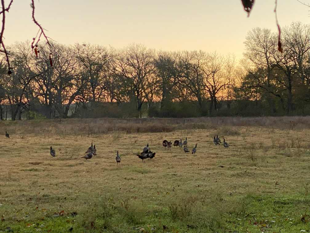 214±-Acre Luxury Texas Hill Country Ranch with 1,600′ Leon River Frontage near Gatesville