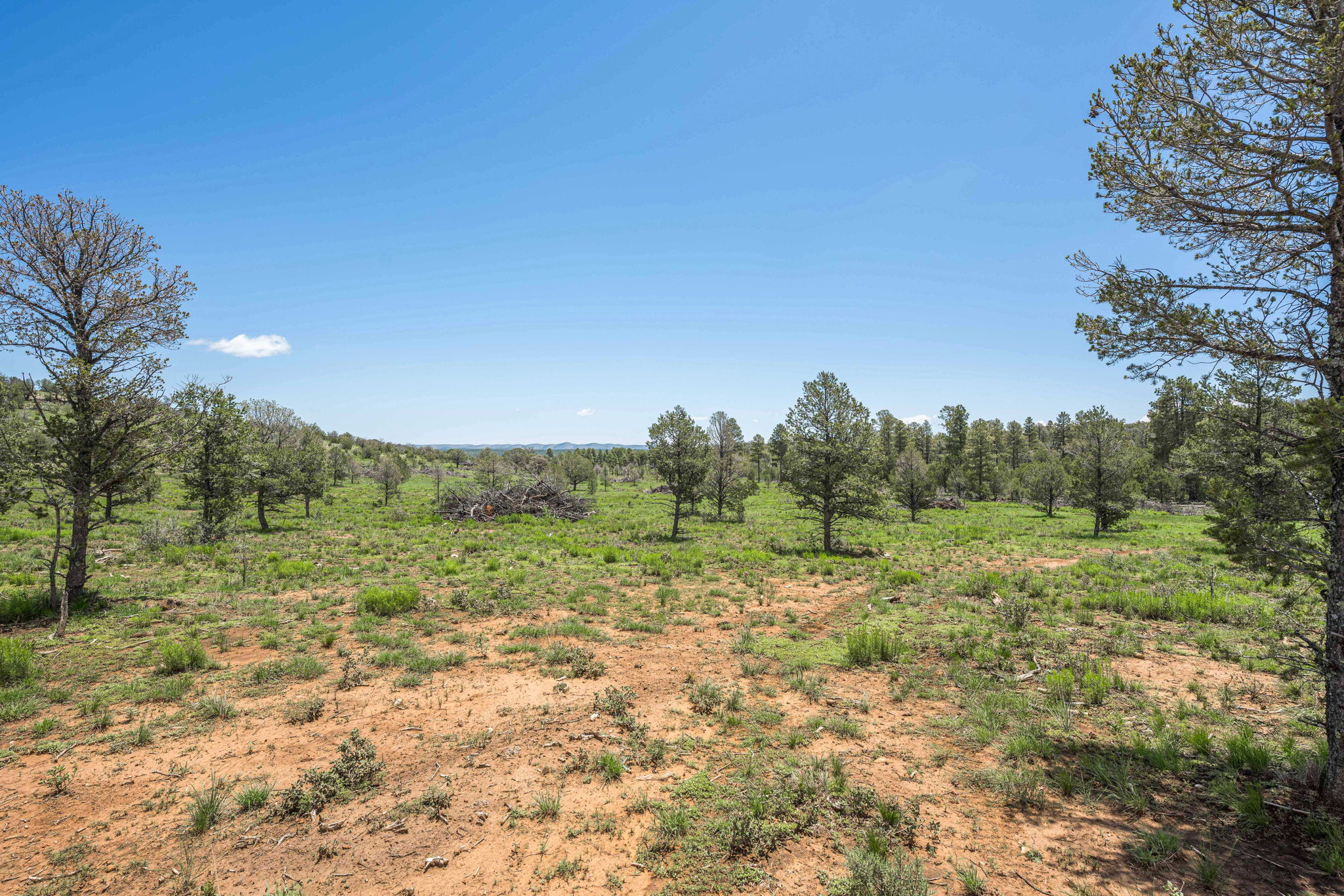 Cattle & Hunting Ranch for Sale in Weed, NM