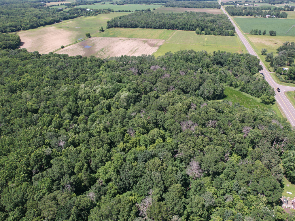 71.8-Acre Heavily Wooded Hunting Parcel with 4,500 Ft of St. Francis River Frontage