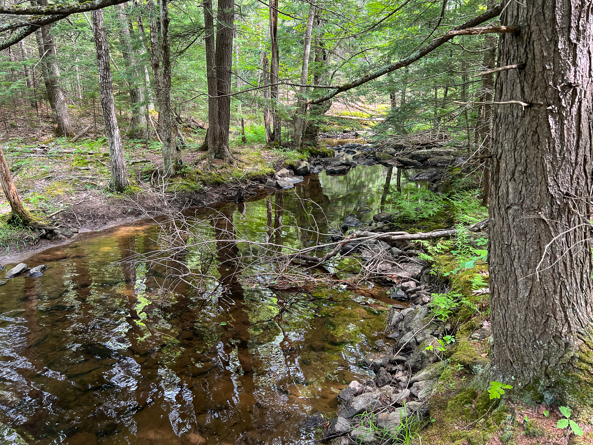 35± Acres with 1500 feet on the Brook