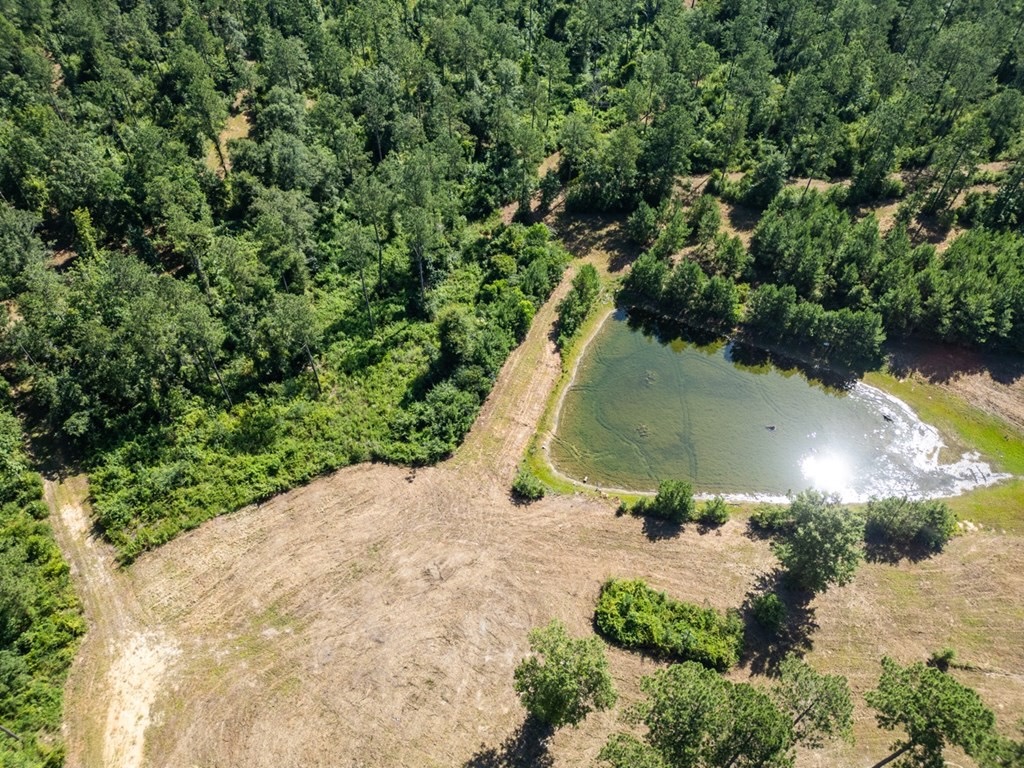 Osyka MS Hunting Land with Pond – Pike 38