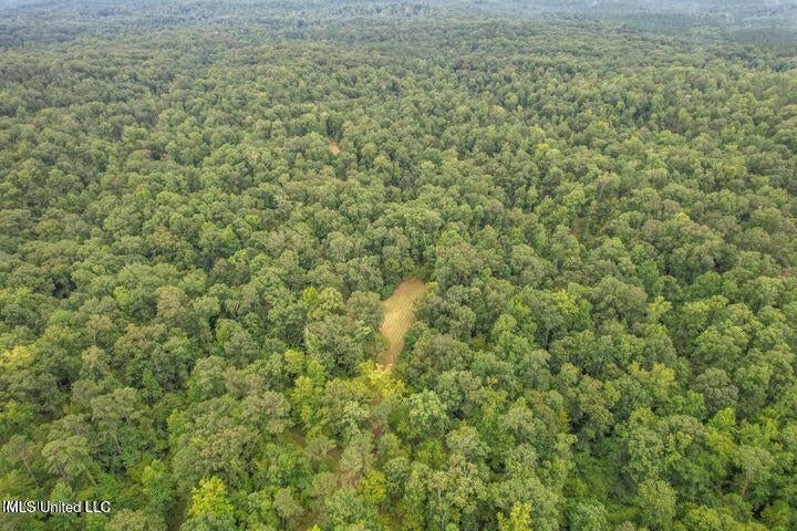 95 Acres of Prime Hunting Property in Hinds County