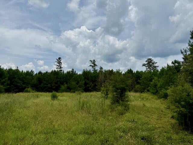 67 Acres For Sale Lawrence County MS