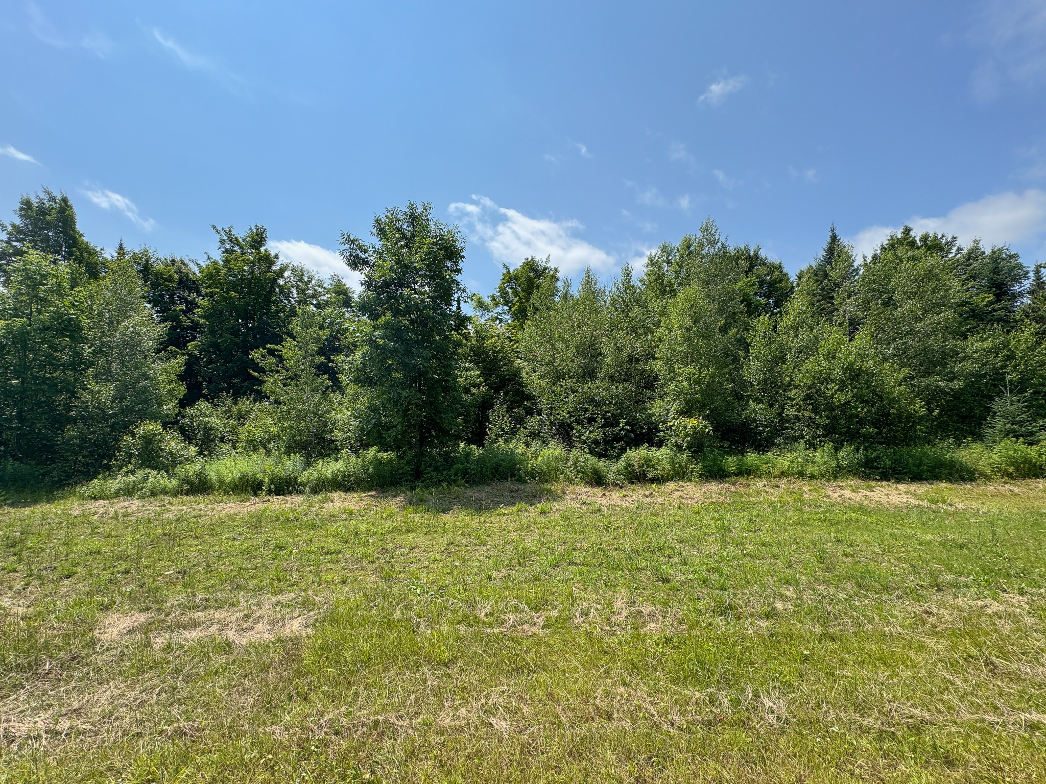 Maine Hunting and Recreational Timberland for Sale | 152± Acres in Carroll Plantation