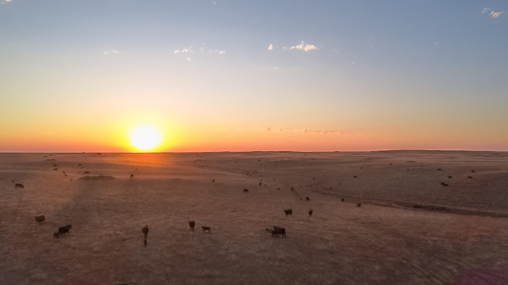 Norman Mavencamp Ranch