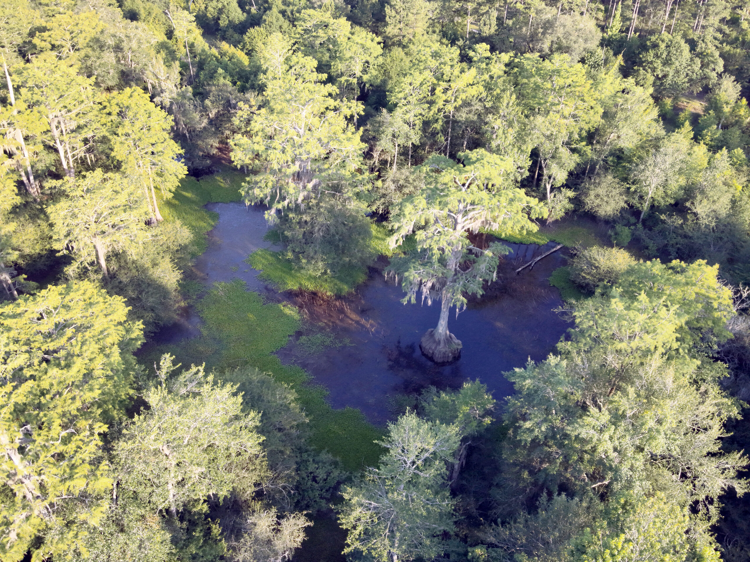 Recreational and hunting paradise located just outside Vada, GA in Decatur County