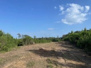 Small Hunting Tract FOR SALE in Amite County, MS