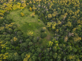 Land For Sale Barton County, MO 160± acres