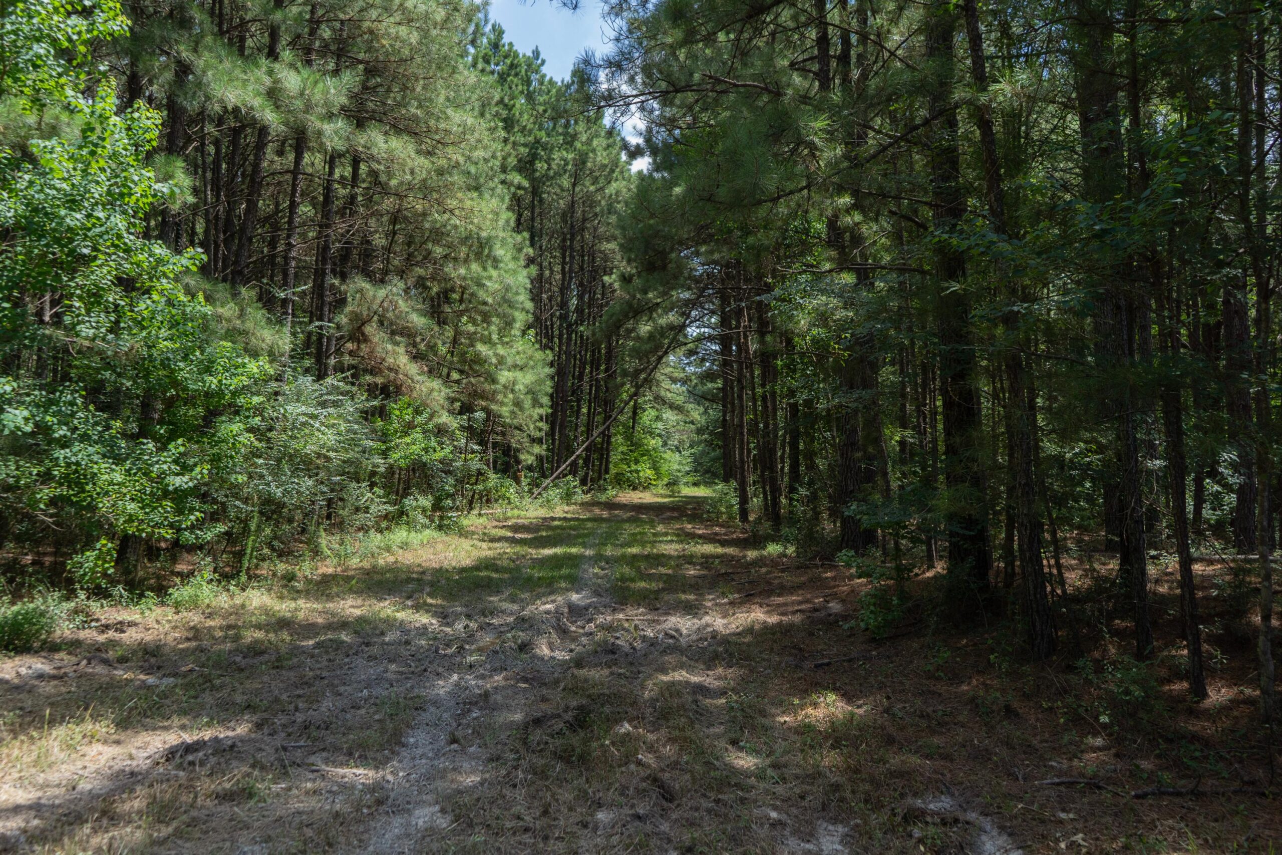 Lapine 216 Multi Use Recreational Timber – Ouachita Parish
