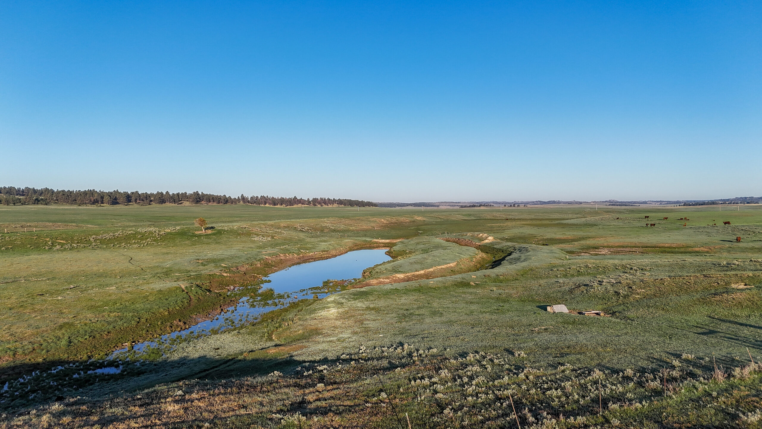Buffalo Creek Ranch