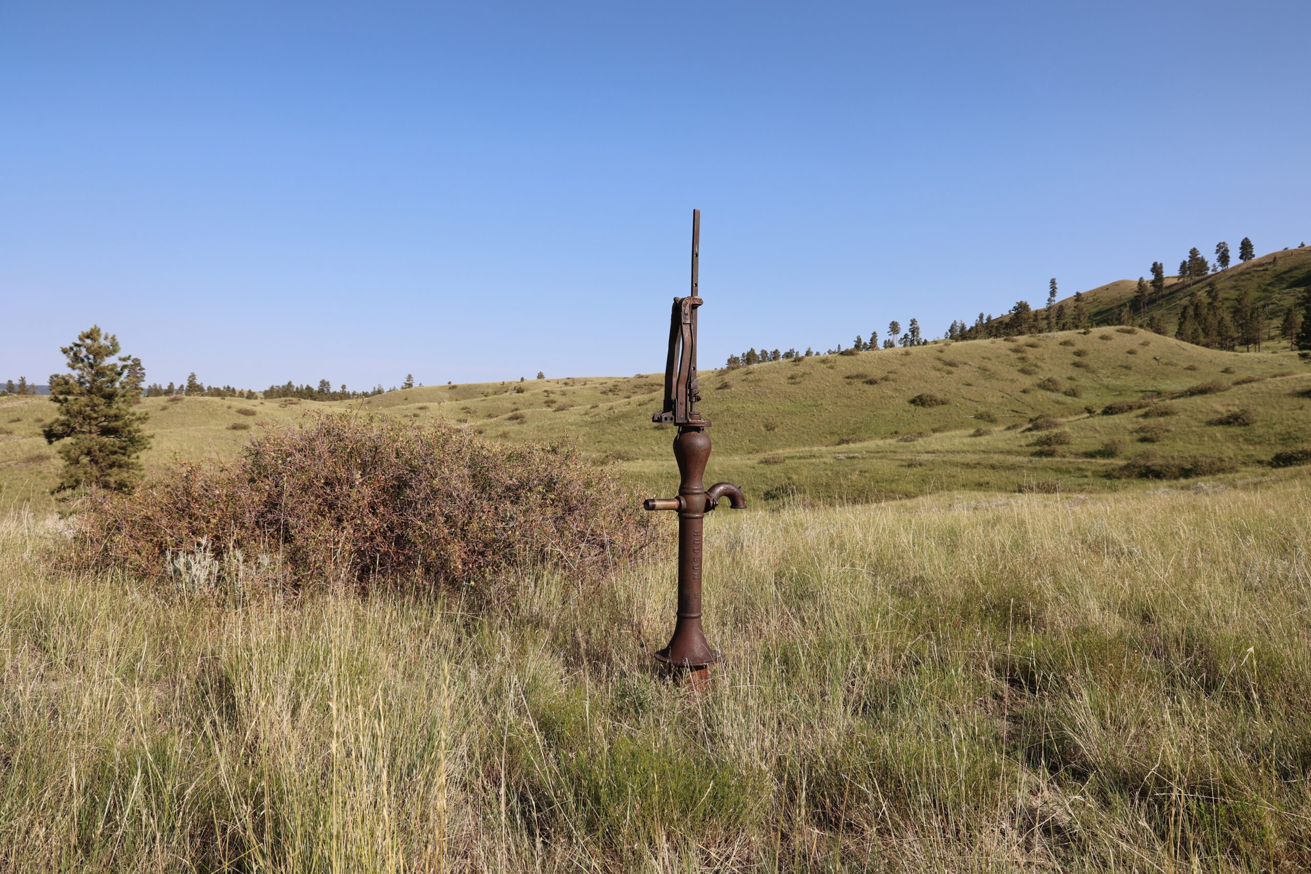 Pine Ridge Sanctuary-Premier Montana Hunting Land near Billings