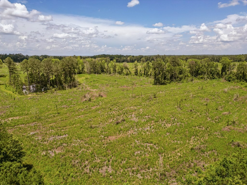 Land for Sale in Amite County, MS