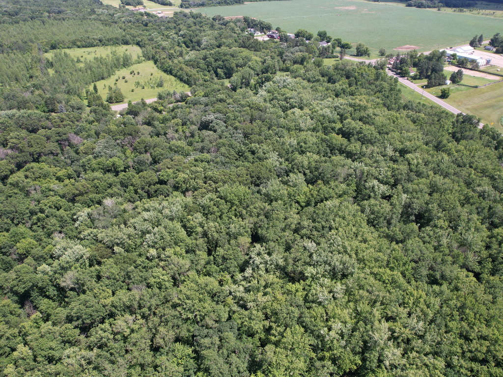 71.8-Acre Heavily Wooded Hunting Parcel with 4,500 Ft of St. Francis River Frontage