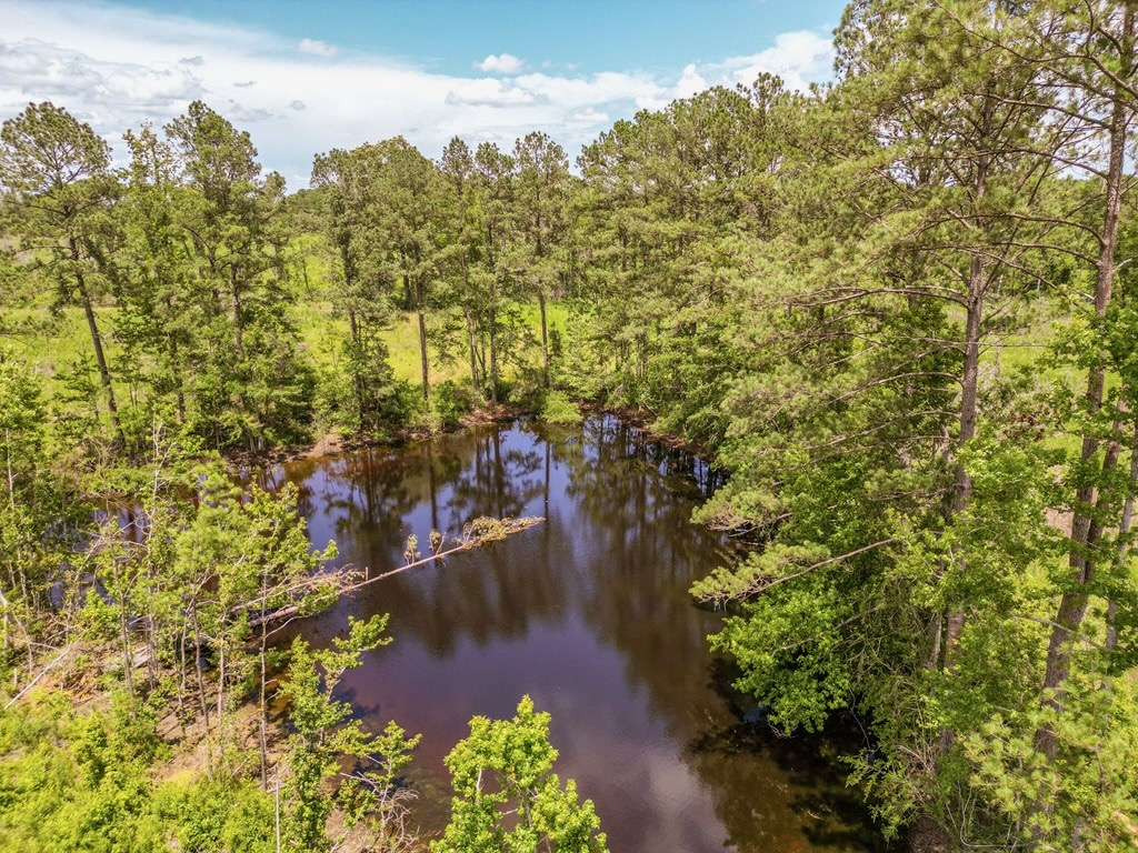 Land for Sale in Amite County, MS