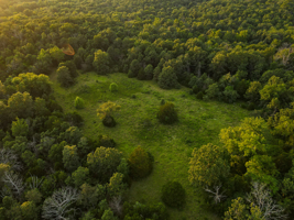 Land For Sale Barton County, MO 160± acres