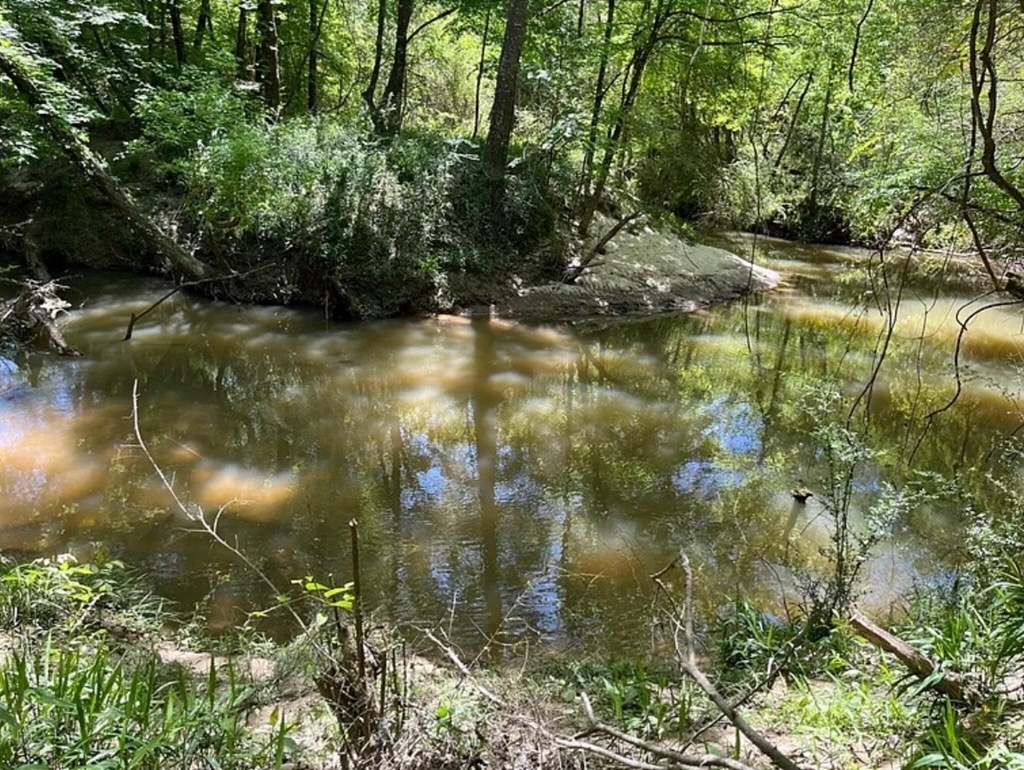 Hunting Land for Sale Near Gloster, Mississippi