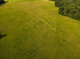 142+\- acres  For Sale El Dorado Springs MO