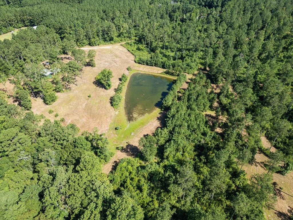 Osyka MS Hunting Land with Pond – Pike 38