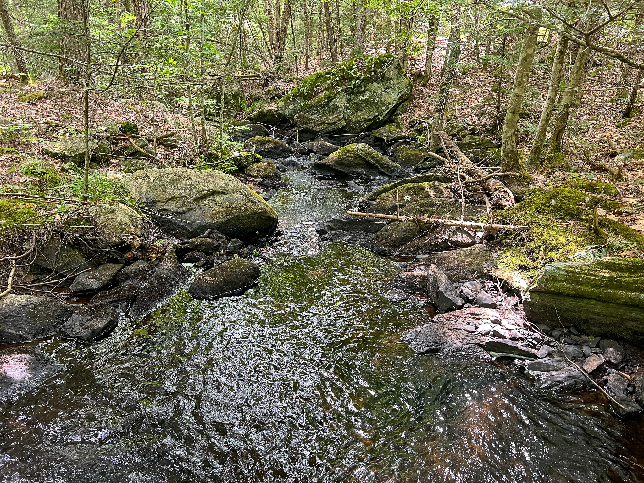 35± Acres with 1500 feet on the Brook