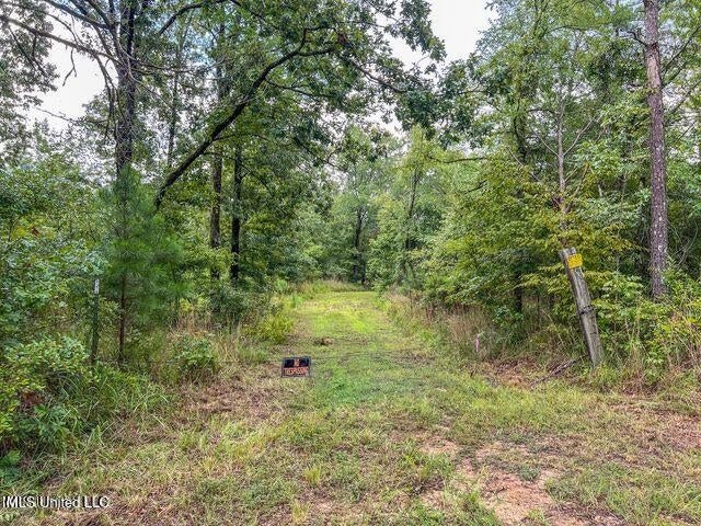 95 Acres of Prime Hunting Property in Hinds County