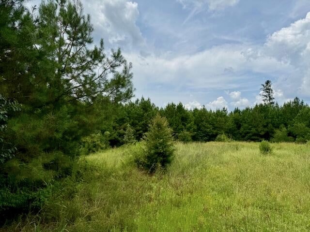 67 Acres For Sale Lawrence County MS