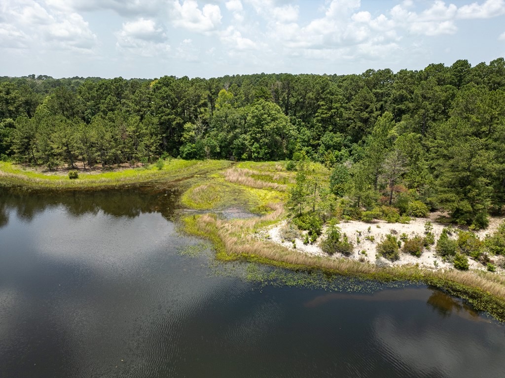 Clear Lake Land in East Feliciana Parish, Louisiana