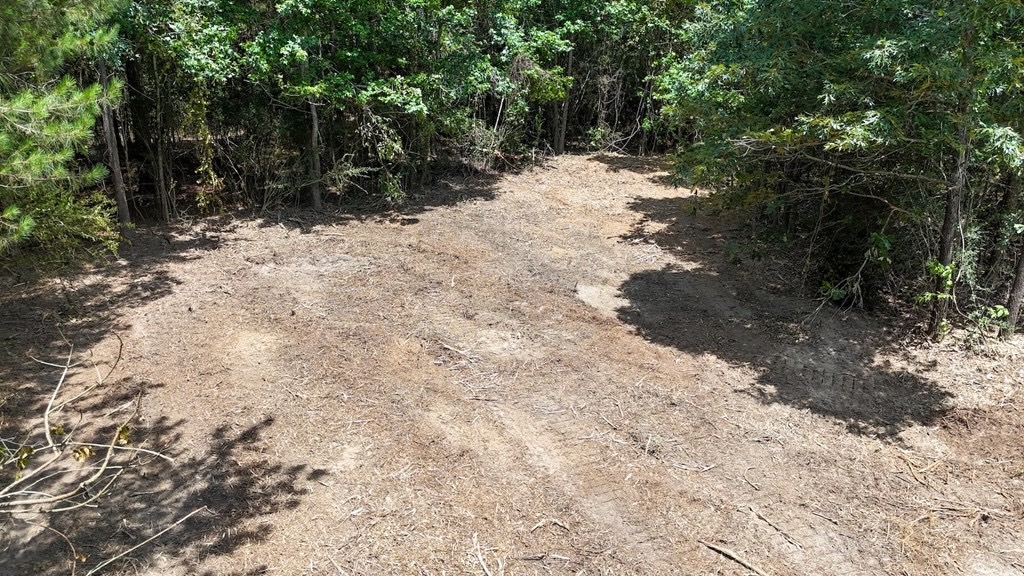 Small Hunting Tract FOR SALE in Amite County, MS