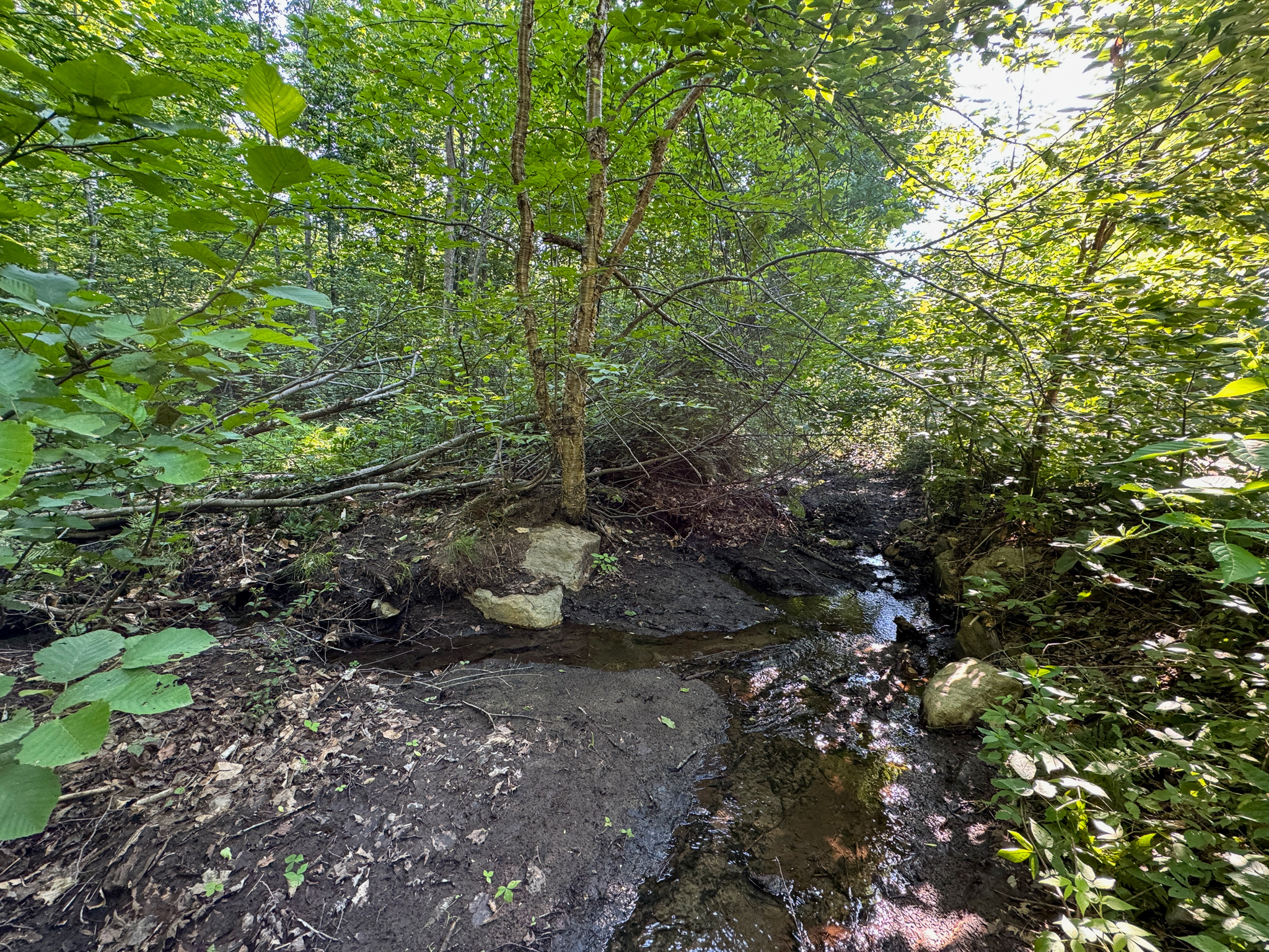 80± Acres of Off-Grid Mountain Land in Mount Chase, Maine