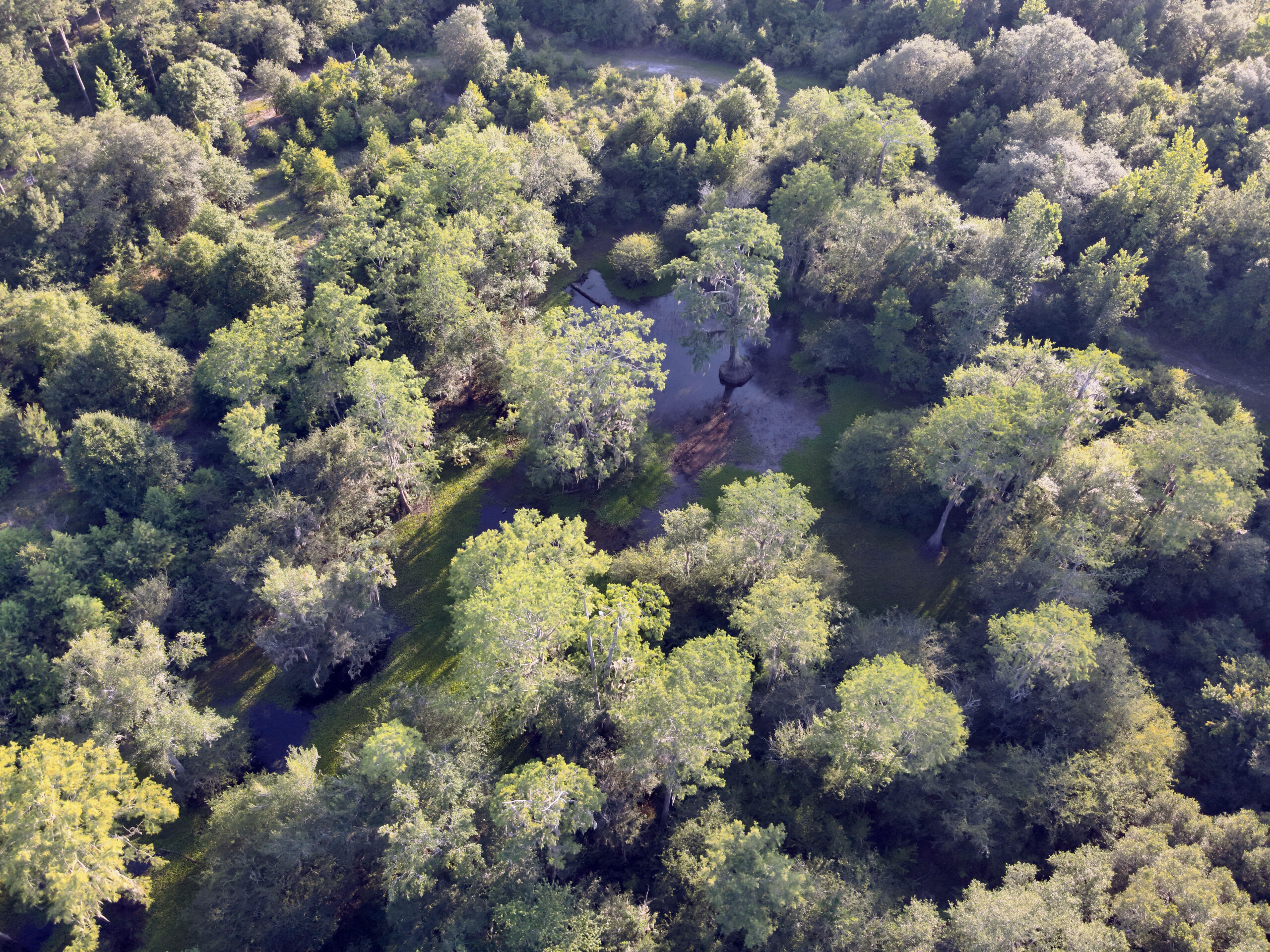 Recreational and hunting paradise located just outside Vada, GA in Decatur County