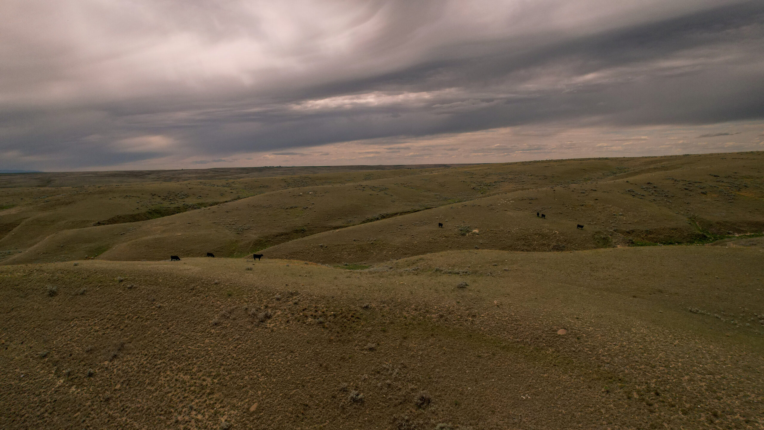 Alkali Creek Ranch