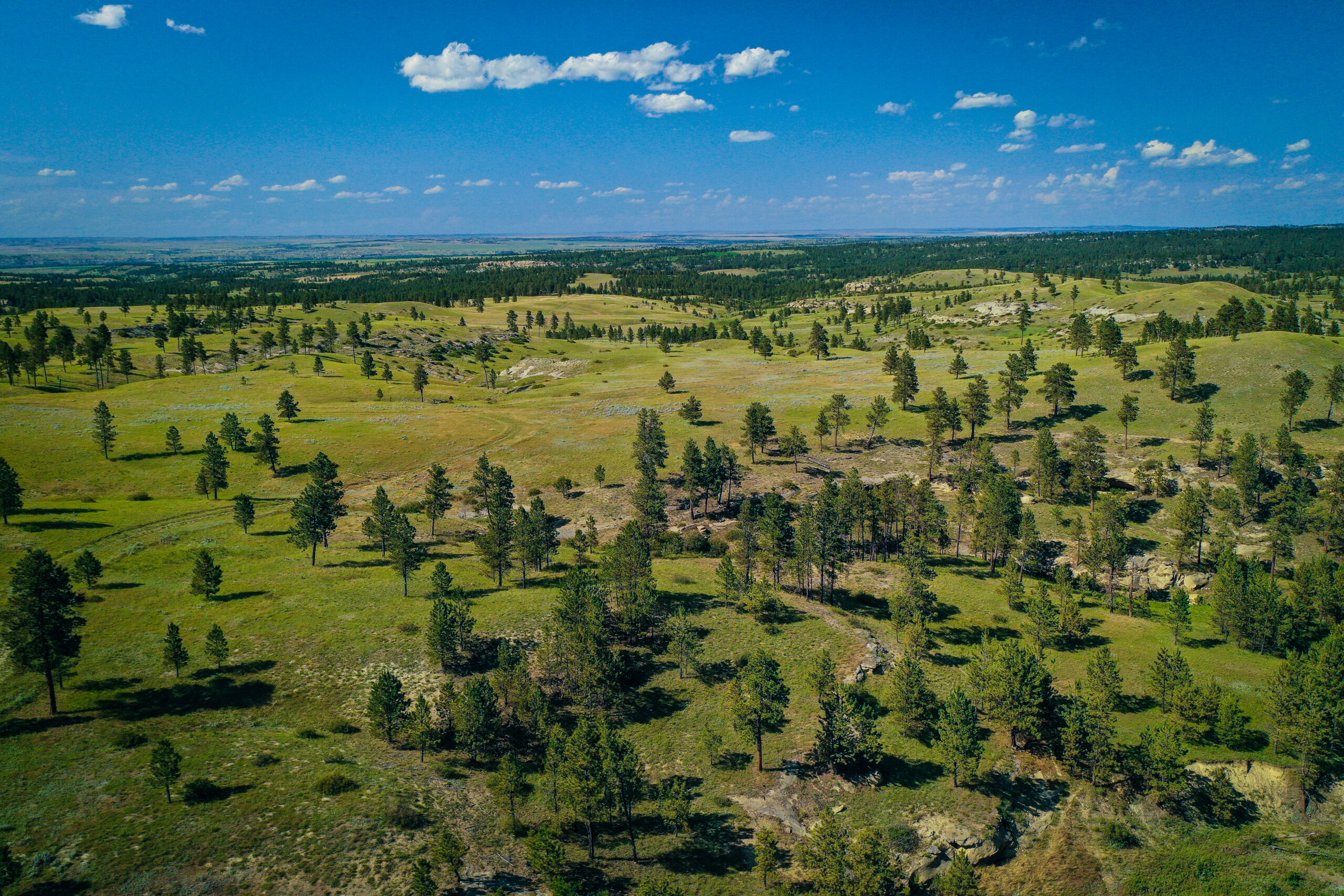 Pine Ridge Sanctuary-Premier Montana Hunting Land near Billings