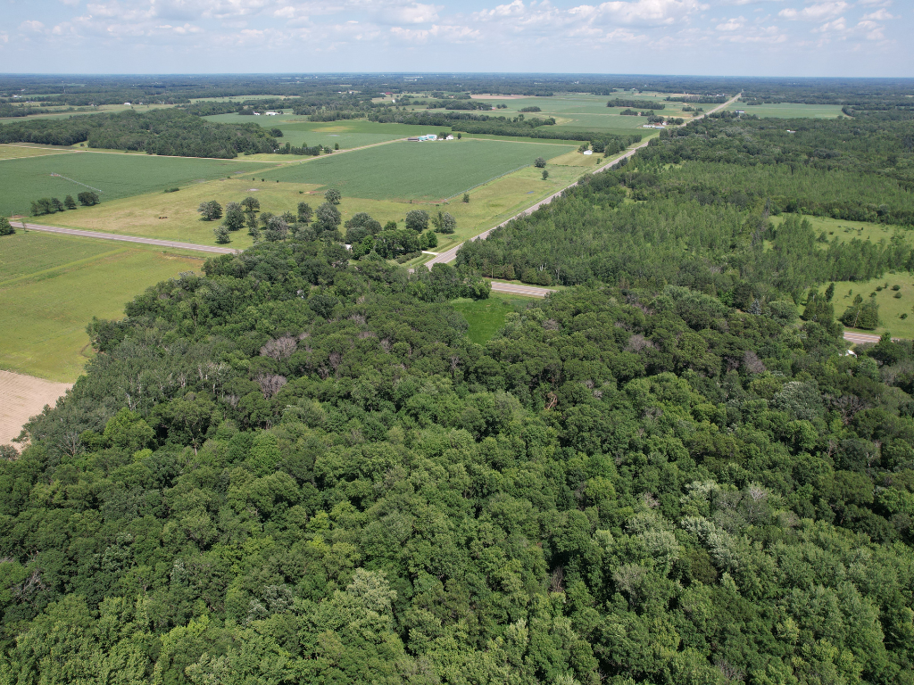 71.8-Acre Heavily Wooded Hunting Parcel with 4,500 Ft of St. Francis River Frontage
