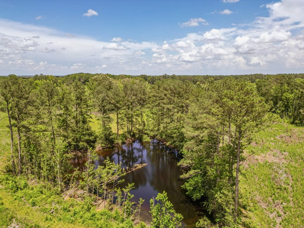 Land for Sale in Amite County, MS