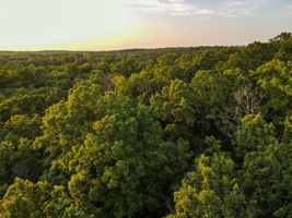 Land For Sale Barton County, MO 160± acres