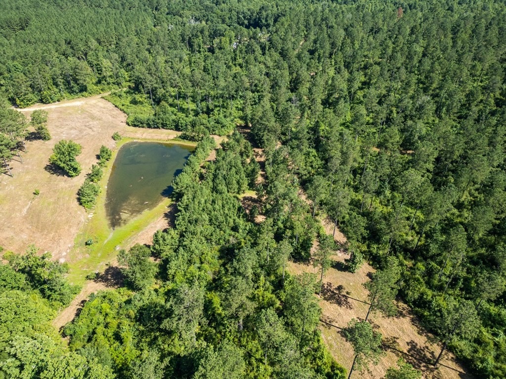 Osyka MS Hunting Land with Pond – Pike 38