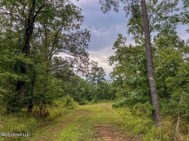 95 Acres of Prime Hunting Property in Hinds County