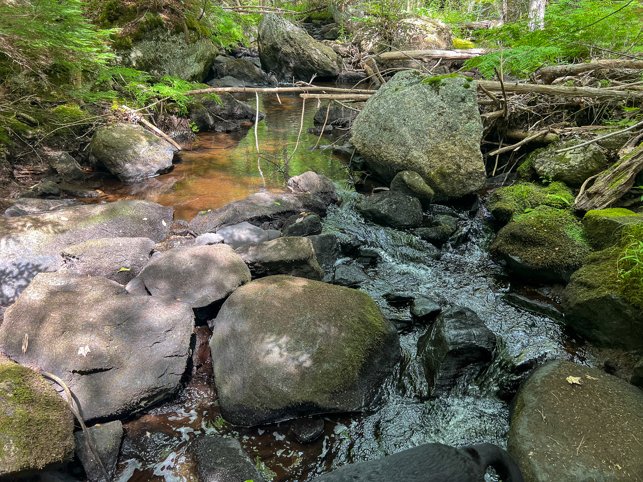 35± Acres with 1500 feet on the Brook