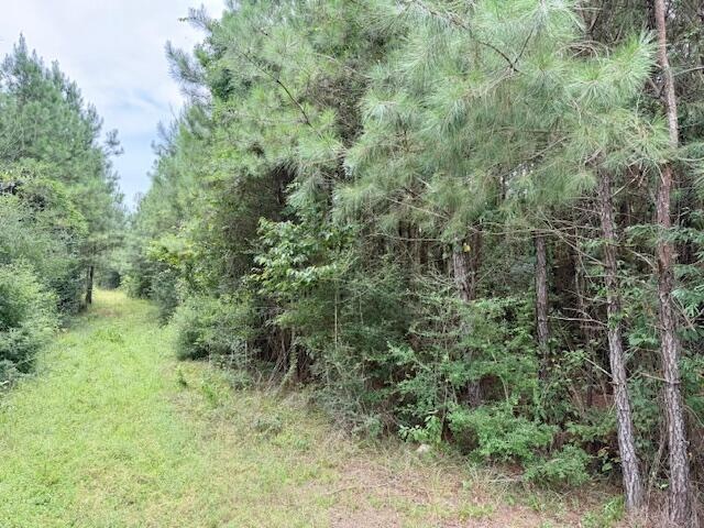 67 Acres For Sale Lawrence County MS