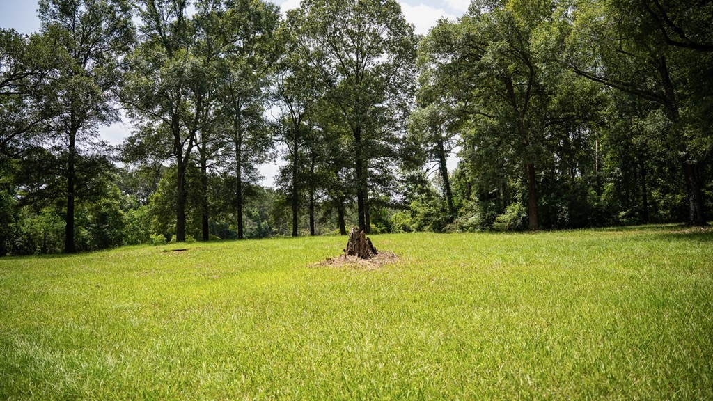 Clear Lake Land in East Feliciana Parish, Louisiana