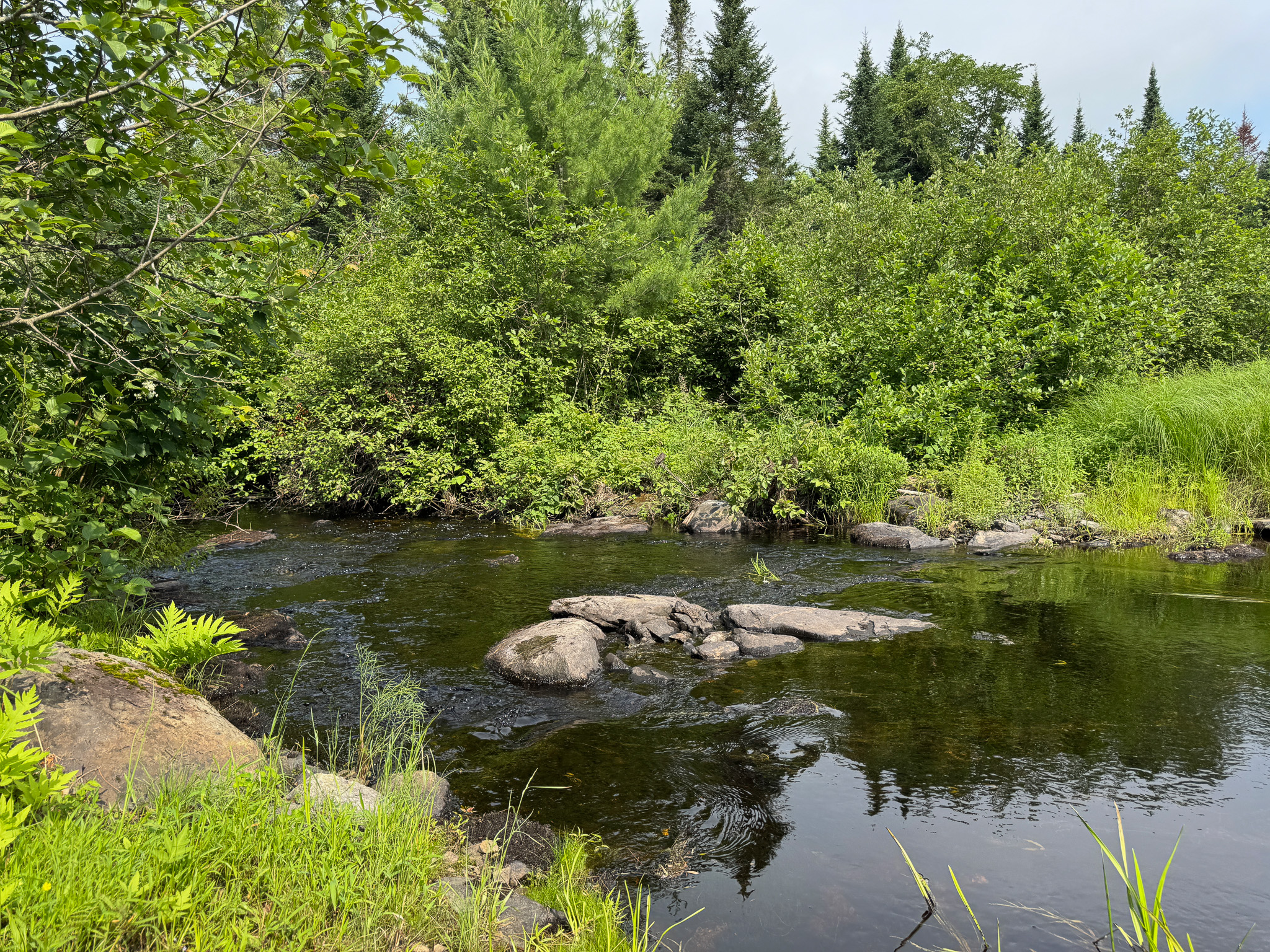 Remote Maine Hunting Camp with Stream Frontage