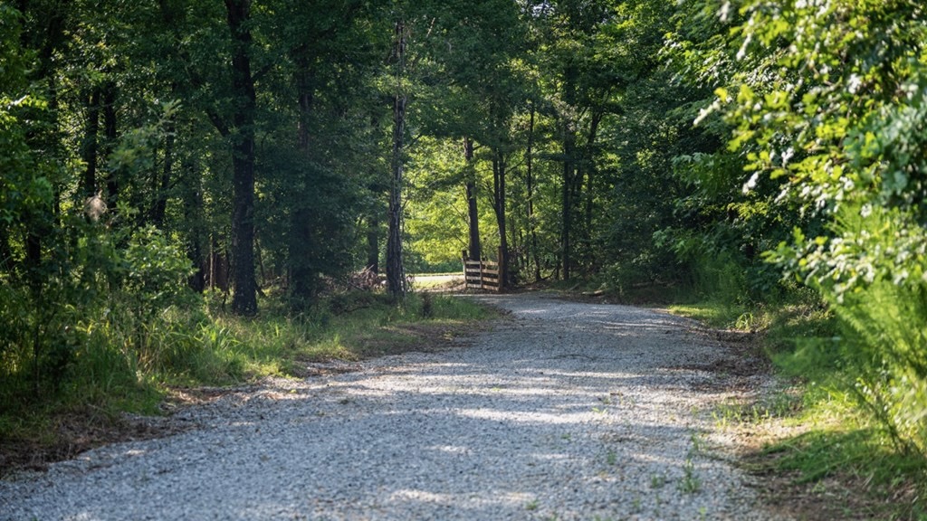 Hunting Land in Claiborne County, MS – The Reagan Tract