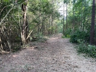 Small Hunting Tract FOR SALE in Amite County, MS