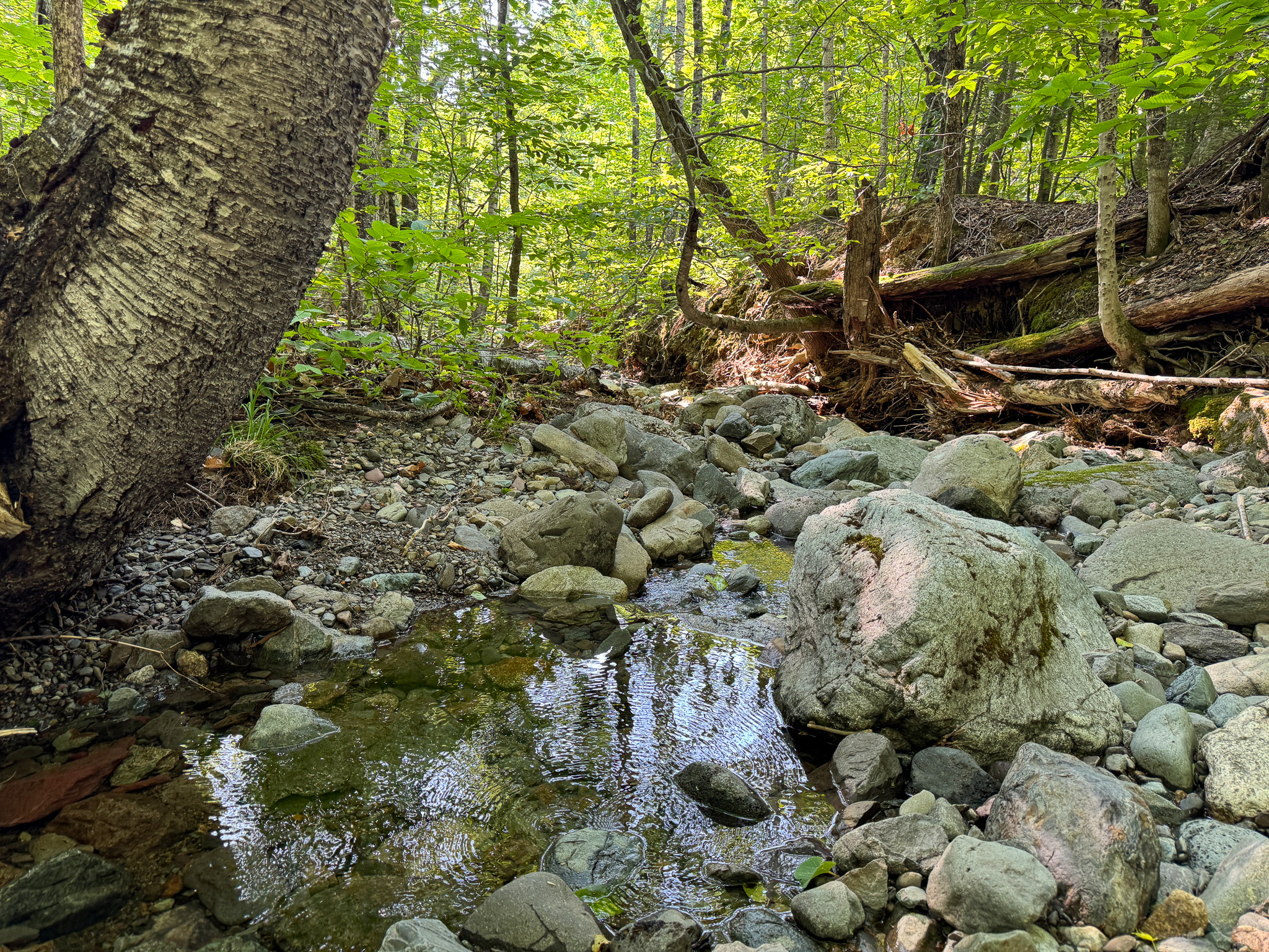 80± Acres of Off-Grid Mountain Land in Mount Chase, Maine