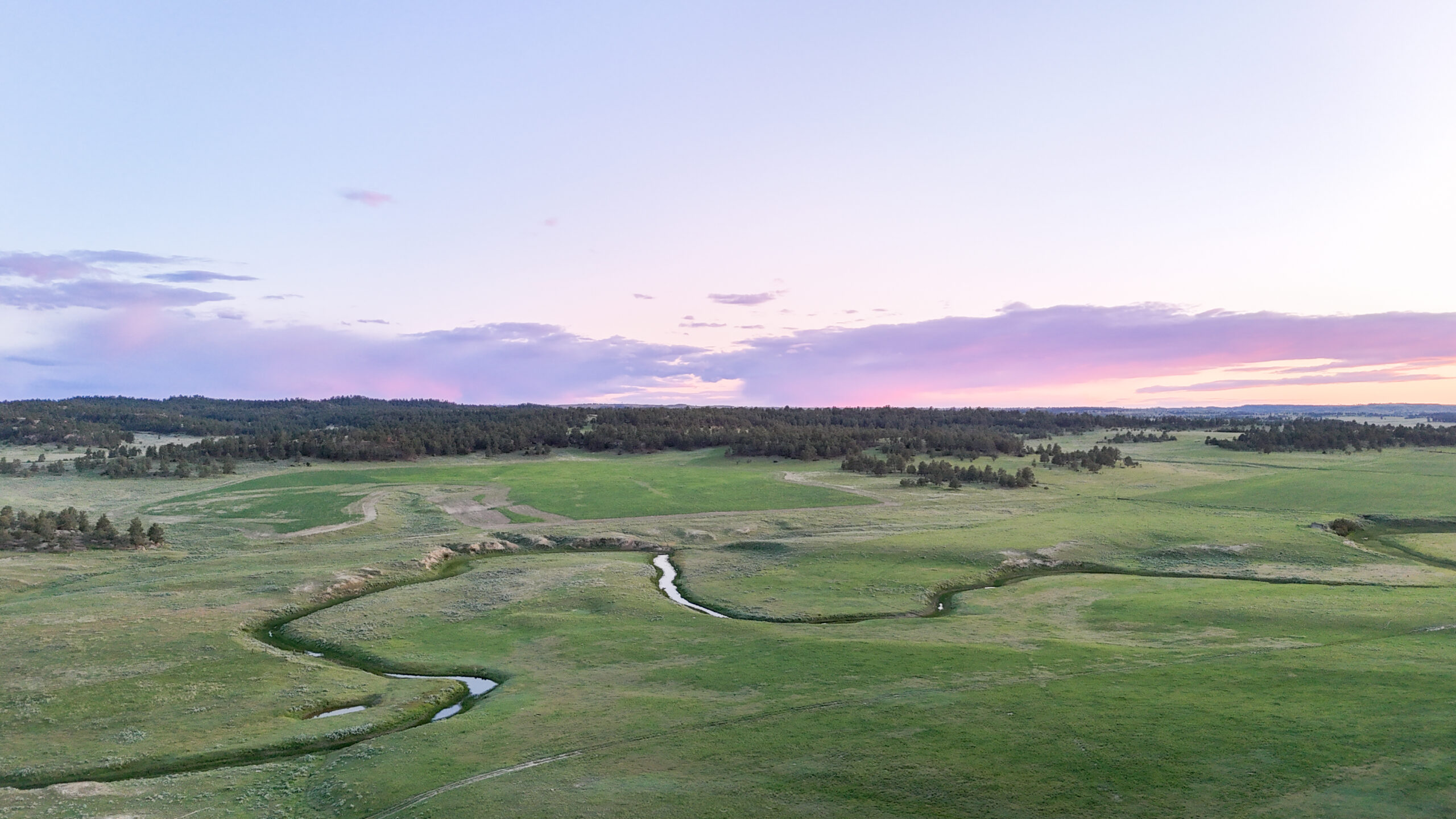 Buffalo Creek Ranch
