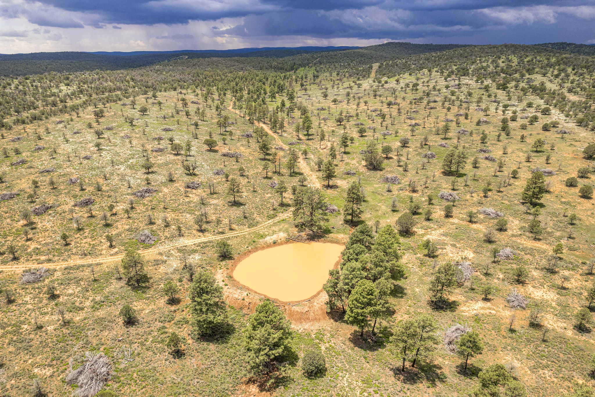 Cattle & Hunting Ranch for Sale in Weed, NM