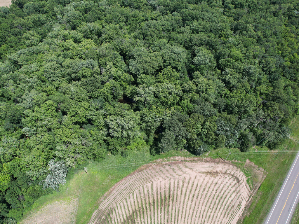 71.8-Acre Heavily Wooded Hunting Parcel with 4,500 Ft of St. Francis River Frontage